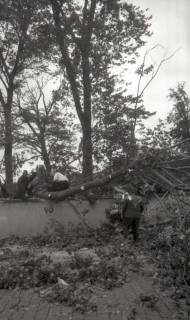 ARH NL Koberg 6443, Sturmschäden, Hannover, 1951