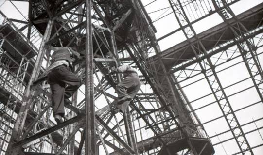 ARH NL Koberg 6532, Abbruch des Palmenhauses im Berggarten, Hannover, 1949