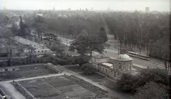 ARH NL Koberg 6535, Abbruch des Palmenhauses im Berggarten, Hannover, 1949