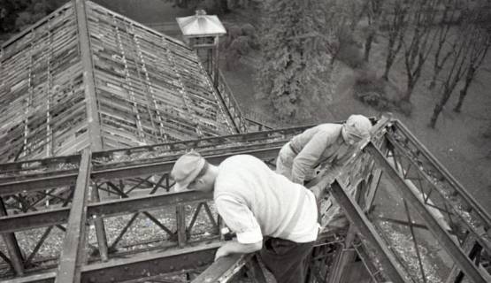 ARH NL Koberg 6539, Abbruch des Palmenhauses im Berggarten, Hannover, 1949
