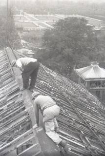 ARH NL Koberg 6540, Abbruch des Palmenhauses im Berggarten, Hannover, 1949