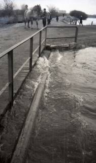 ARH NL Koberg 6628, Leinehochwasser, 1952