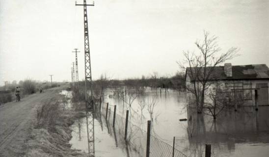 ARH NL Koberg 6650, Leinehochwasser, 1952