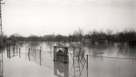 ARH NL Koberg 6651, Leinehochwasser, 1952