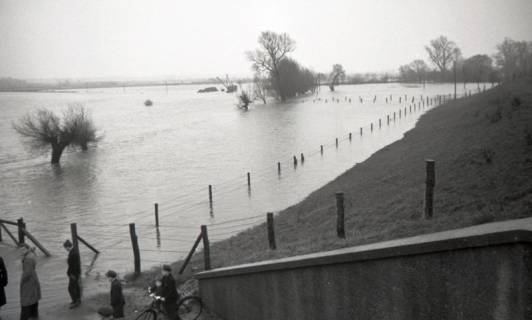 ARH NL Koberg 6656, Leinehochwasser, Ricklingen, 1952