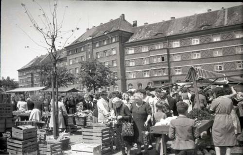 ARH NL Koberg 707, Wochenmarkt auf dem Friedrich-Ebert-Platz, Hannover, 1946