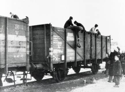 ARH NL Koberg 7085, Kohlenklau auf dem Verschiebebahnhof, Seelze, 1946