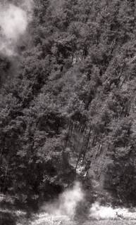 ARH NL Koberg 7321, Waldbrand bei Mandelsloh, 1959