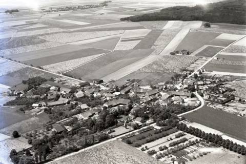 ARH NL Koberg 7855, Lemmie, 1959