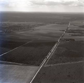 ARH NL Koberg 7977, Heidelandschaft im Raum Faßberg, 1957