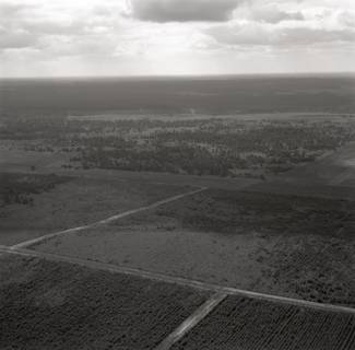 ARH NL Koberg 7978, Heidelandschaft im Raum Faßberg, 1957