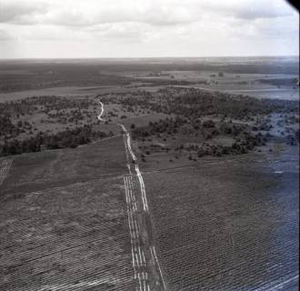 ARH NL Koberg 7979, Heidelandschaft im Raum Faßberg, 1957