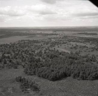 ARH NL Koberg 7981, Heidelandschaft im Raum Faßberg, 1957