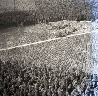 ARH NL Koberg 7982, Heidelandschaft im Raum Faßberg, 1957