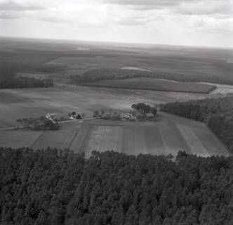 ARH NL Koberg 7983, Heidelandschaft im Raum Faßberg, 1957