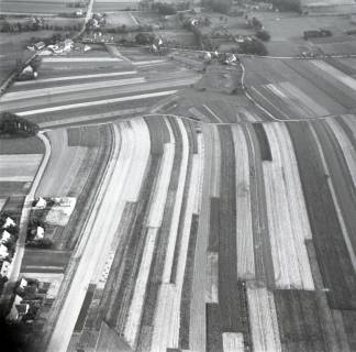 ARH NL Koberg 8117, Ortschaft bei dem Dümmer (See), 1957