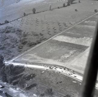 ARH NL Koberg 8650, Getreideernte und Kuhherde , 1957