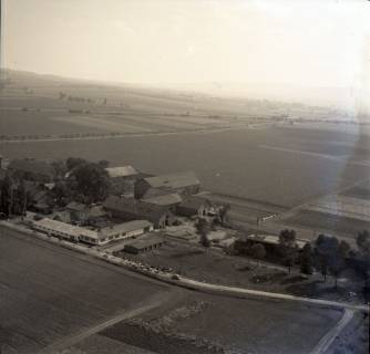 ARH NL Koberg 8652, Getreideernte und Kuhherde , 1957