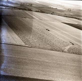 ARH NL Koberg 8653, Getreideernte, 1957