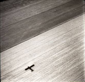 ARH NL Koberg 8658, Getreideernte, 1957