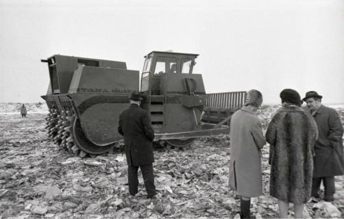 ARH NL Koberg 916, Mülldeponie, Altwarmbüchen, 1971