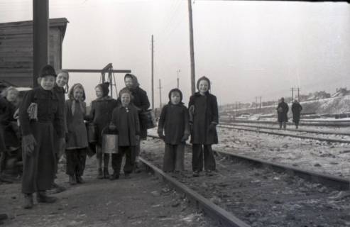 ARH NL Koberg 9533, Personen beim Kohlediebstahl, Hannover, 1945