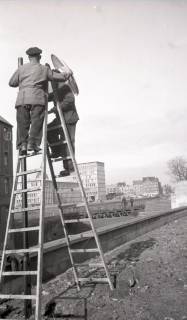 ARH NL Koberg 9653, Zwei Arbeiter bauen eine Straßenlaterne auf, Am Hohen Ufer, Hannover, 1953