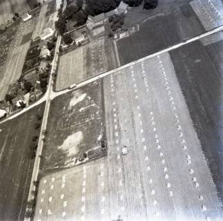 ARH NL Koberg 9883, Feld, bei Hannover?, 1957