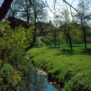 ARH NL Machinowski 151, Bach an einer Obstwiese, Jeinsen, 1981