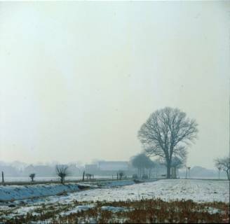 ARH NL Machinowski 210, Schneebedeckte Felder neben einer Landstraße, Leveste, 1981