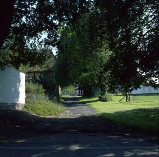 ARH NL Machinowski 355, Weg zum Obergut, Lenthe, 1981