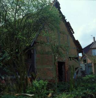 ARH NL Machinowski 463, Fachwerkhaus, Mardorf, 1983