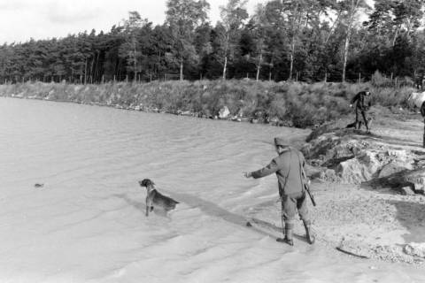 ARH NL Mellin 01-006/0012, Jäger bringt einem Jagdhund bei, einen Vogel aus einem See zu holen, ohne Datum