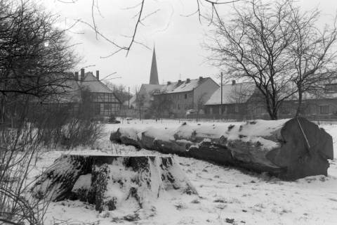ARH NL Mellin 01-016/0016, Amtspark, Großburgwedel, zwischen 1970/1990