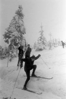 ARH NL Mellin 01-017/0009, Ausflug des SkiClub "Winterfreuden" in den Harz, ohne Datum