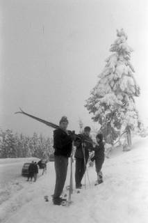 ARH NL Mellin 01-017/0010, Ausflug des SkiClub "Winterfreuden" in den Harz, ohne Datum