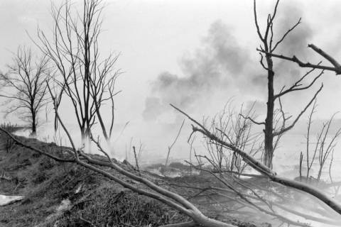 ARH NL Mellin 01-017/0022, Waldbrand(?), ohne Datum