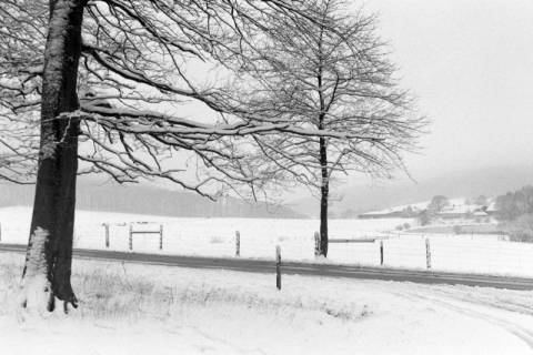 ARH NL Mellin 01-052/0010, Verschneite Landschaft, ohne Datum