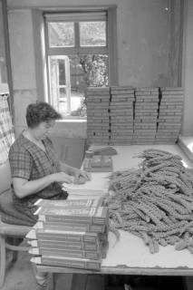 ARH NL Mellin 01-064/0001, Verpackung von Kolbenhirse in der Vogelfutterfabrik H. Finkenstedt in Lehrte, ohne Datum