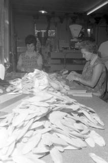 ARH NL Mellin 01-064/0002, Verpackung von Sepia-Schalen in der Vogelfutterfabrik H. Finkenstedt in Lehrte, ohne Datum