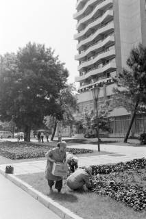ARH NL Mellin 01-069/0010, Hotel Kuban am Sonnenstrand bei Nessebar, Bulgarien, zwischen 1975/1976