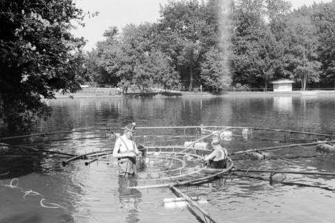 ARH NL Mellin 01-077/0004, Aufbau der "Wasserorgel" für das Lichterfest der Burgdorfer Feuerwehr im Stadtpark, Burgdorf, nach 1970