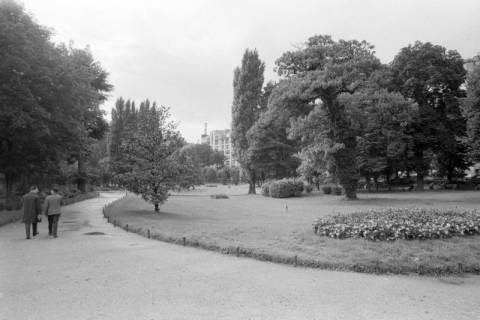 ARH NL Mellin 01-085/0014, Parkanlage, Vanves?, ohne Datum