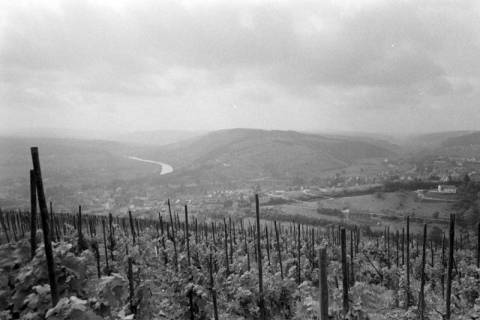ARH NL Mellin 01-088/0018, Blick von einem Weinberg auf die umliegende Berglandschaft, ohne Datum