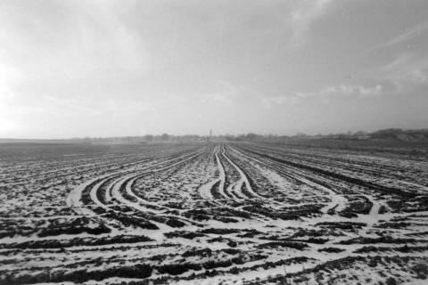 ARH NL Mellin 01-103/0018, Beschneites Feld, ohne Datum