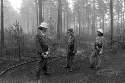 ARH NL Mellin 01-106/0012, Feuerwehr im Wald, ohne Datum