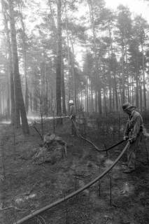 ARH NL Mellin 01-106/0014, Feuerwehr im Wald, ohne Datum