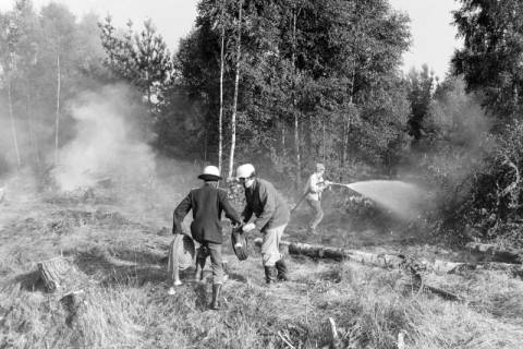 ARH NL Mellin 01-106/0017, Feuerwehr im Wald, ohne Datum