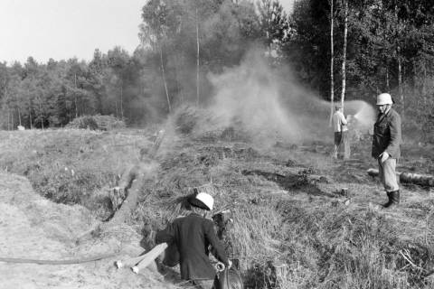 ARH NL Mellin 01-106/0018, Feuerwehr im Wald, ohne Datum