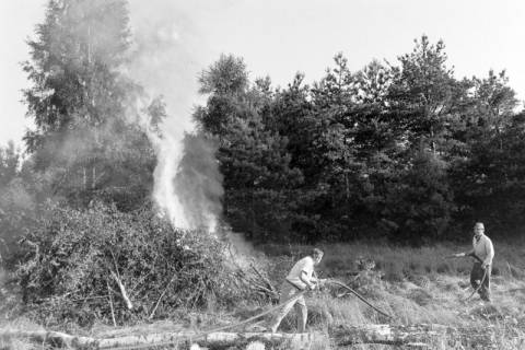 ARH NL Mellin 01-106/0019, Feuerwehr im Wald, ohne Datum